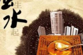 2022年流年运势蛇，洞察与展望