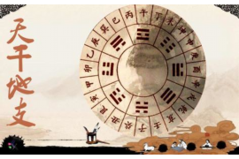 南方批八字手机破解版的使用方式与探讨