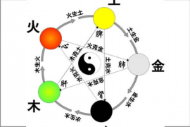 矛盾情感纠纷，探寻人心的双重矛盾