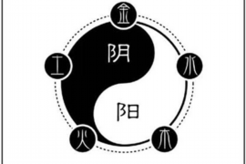 太极鱼起名，免费为您的宝贝取一个好名字