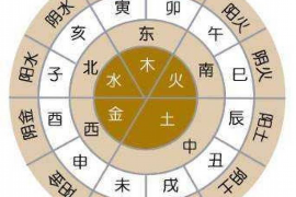 生肖十二月运势全解析，十二生肖的运势起伏与应对策略
