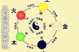 一鸣惊人背后的生肖之谜