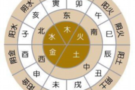 属狗人的婚姻福音，精选结婚吉日大揭秘