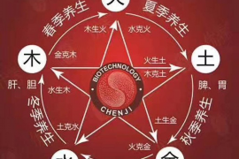 探索命运之路，2019年八字流年运势解析