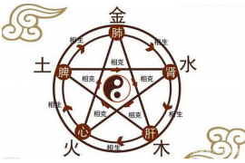 探索美食之旅，烧烤店名背后的独特魅力