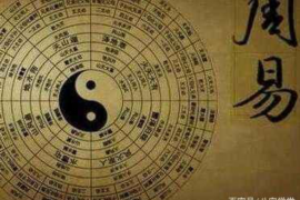 生肖狗，忠诚与坚韧之魂的象征