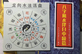 生肖狗与蛇的和谐共舞—跨越误解的寓言