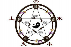 查八字网站，解读命运与人生的新途径