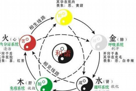 诗歌的情感分析，探索艺术与情感的交织