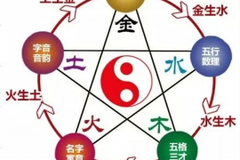 水瓶座与天蝎座，星空中独特的双星交汇之谜
