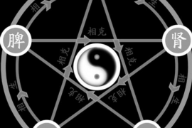 82年属狗男，婚姻路上的挑战与成长