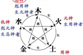 如何使用2345黄历，寻找每日吉时？一篇详细的指南