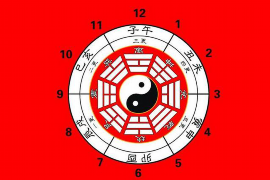 揭秘三番五次鼠猪中，生肖的奥秘与影响